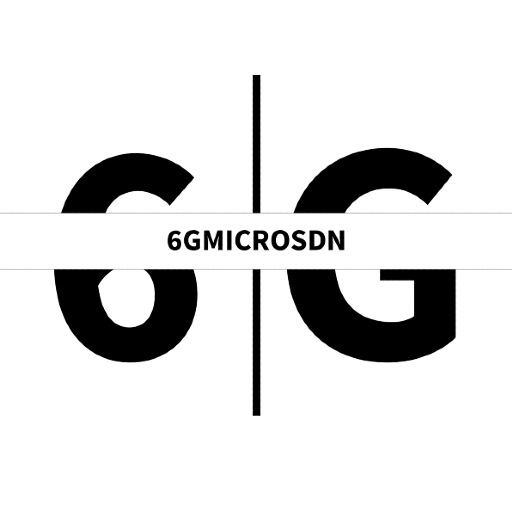 6GMICROSDN