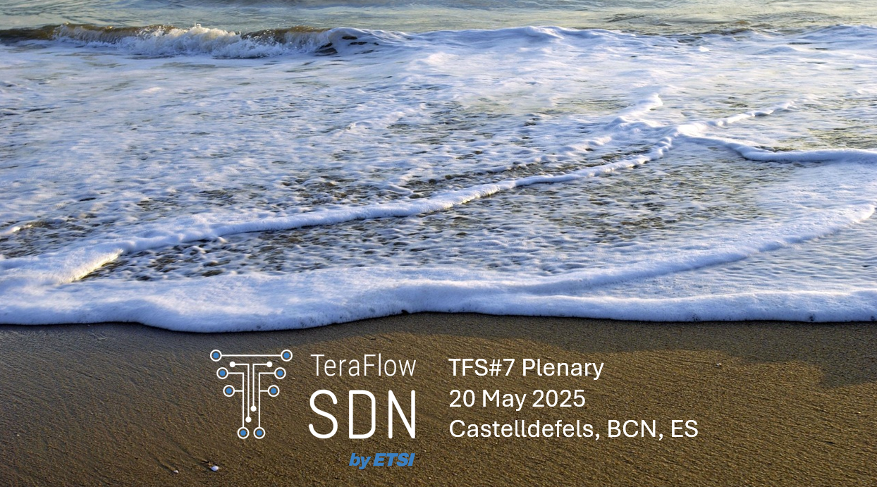 TFS#7 Plenary Meeting