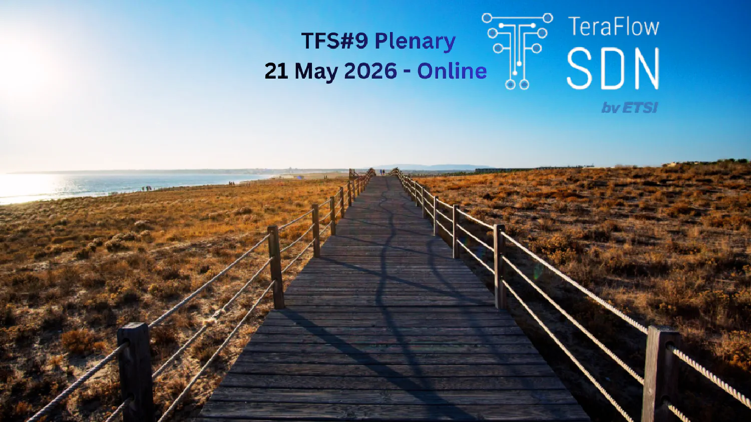 TFS#9 Plenary Meeting
