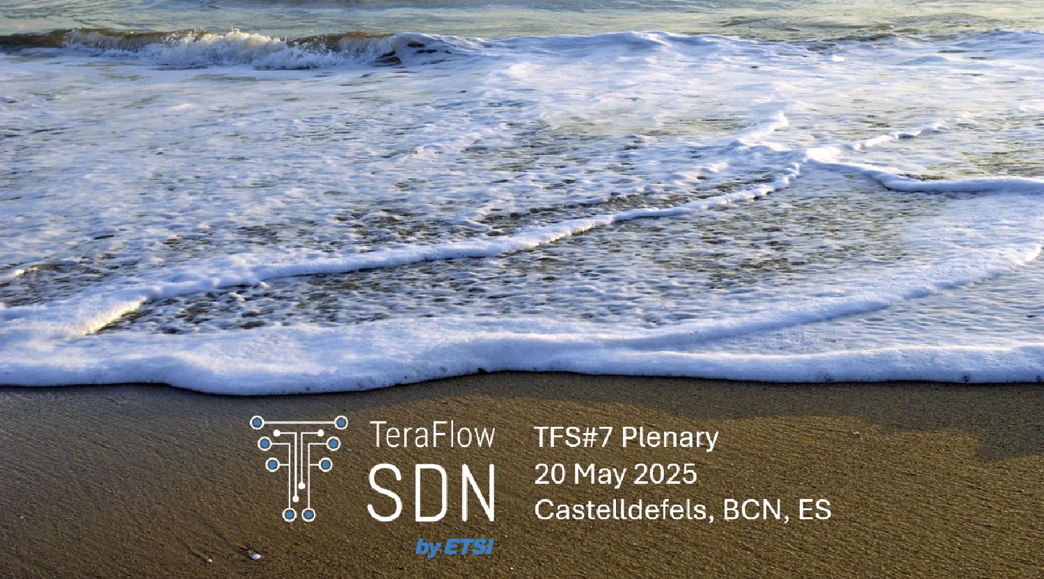 TFS#7 Plenary Meeting